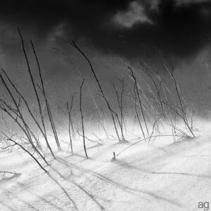 blizzard