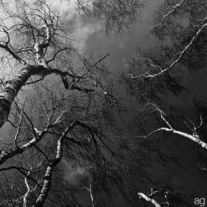 reaching over