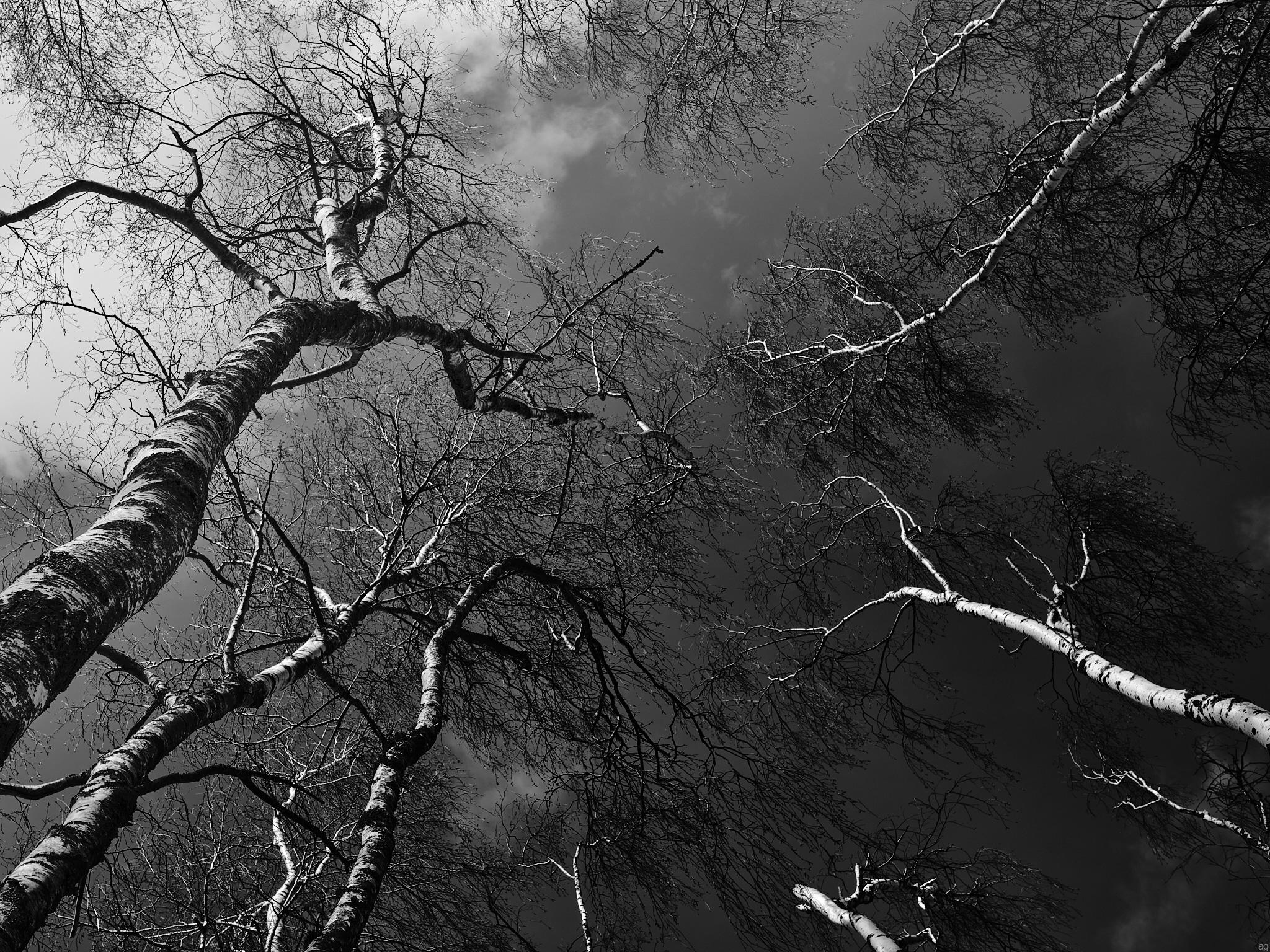 reaching over 2 reaching over