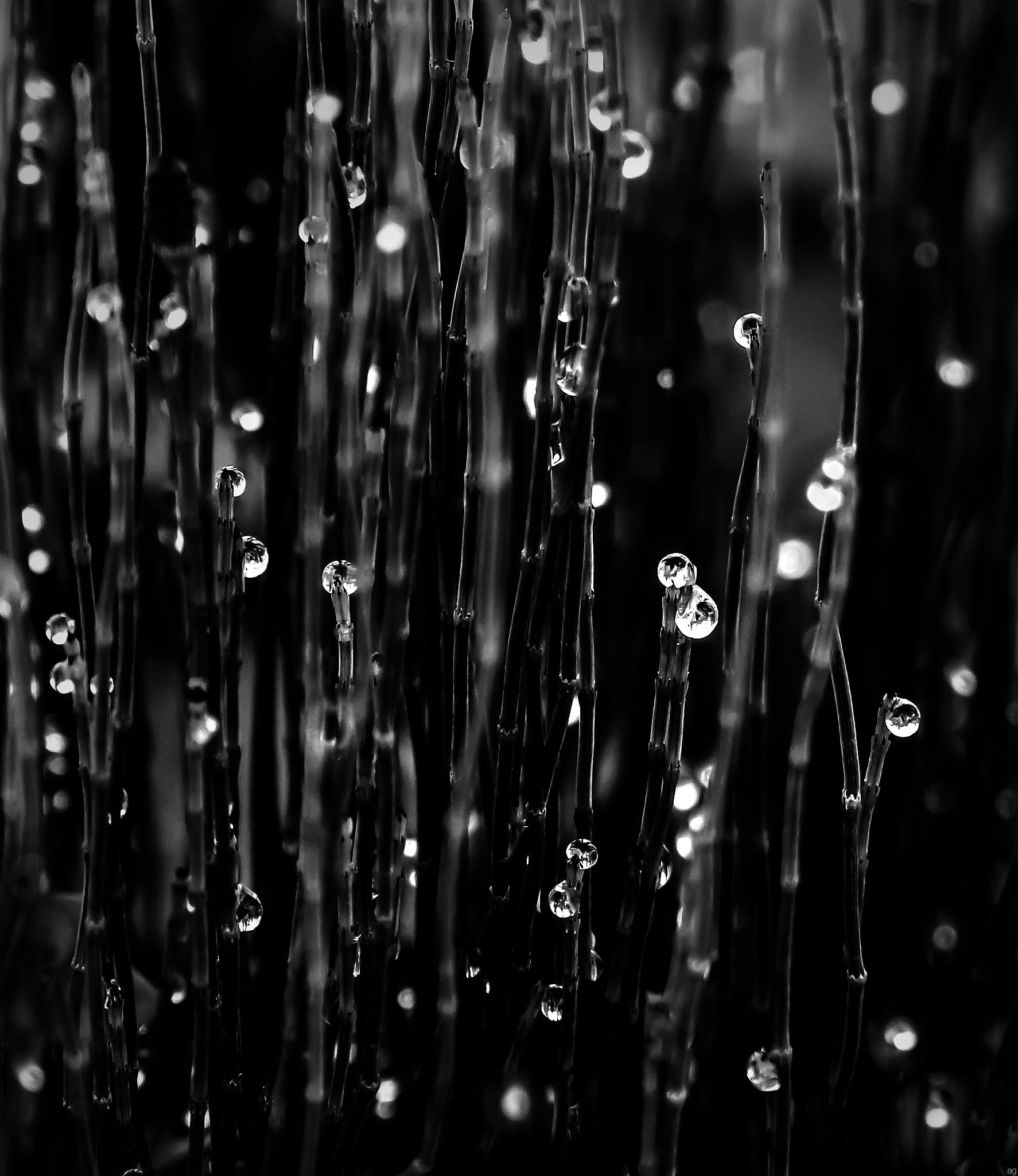 morning 2 morning