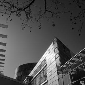 fair building nuremberg /1