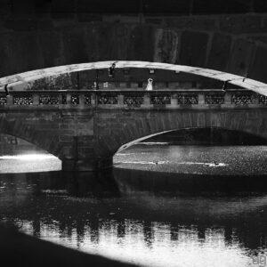 bridges