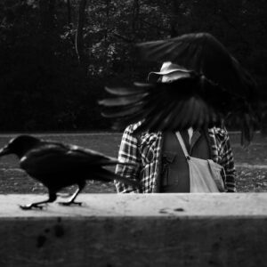 man with crows