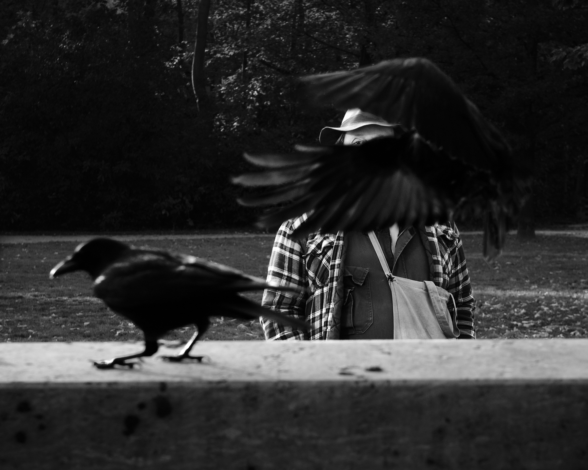 man with crows 2 man with crows